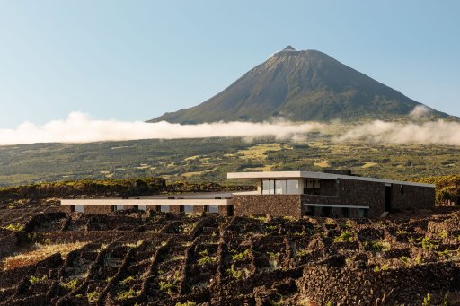 Azores Wine Company