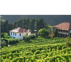 Douro - Quinta dos Avidagos