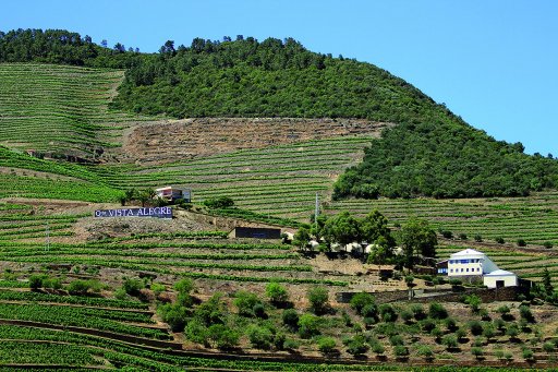 Quinta da Vista Alegre