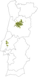 map-encruzado