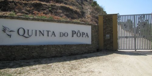 THE GRAPE ESCAPE tinto 2012 - Quinta do Popa